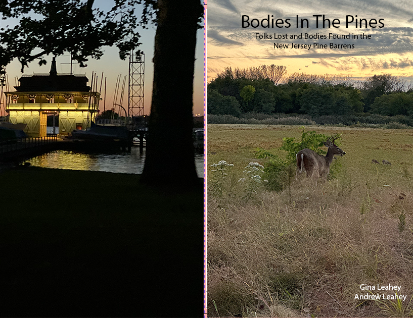 Lost and Found in the Pine Barrens (Vol 1)